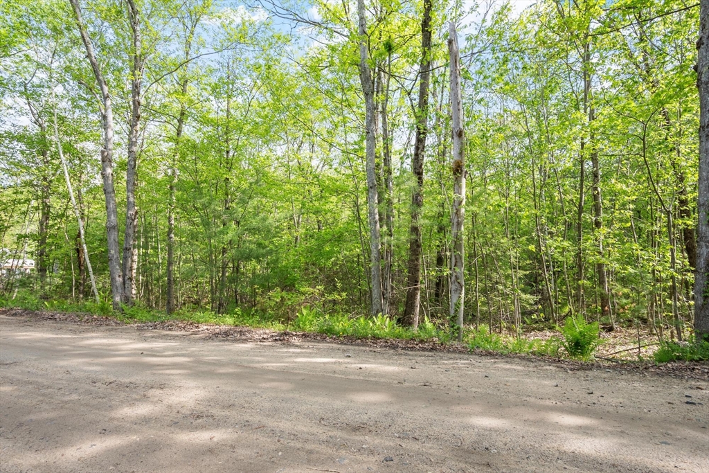 0 Whitney Rd, Ashby, Massachusetts, ,Land,For Sale,Whitney Rd,73530838