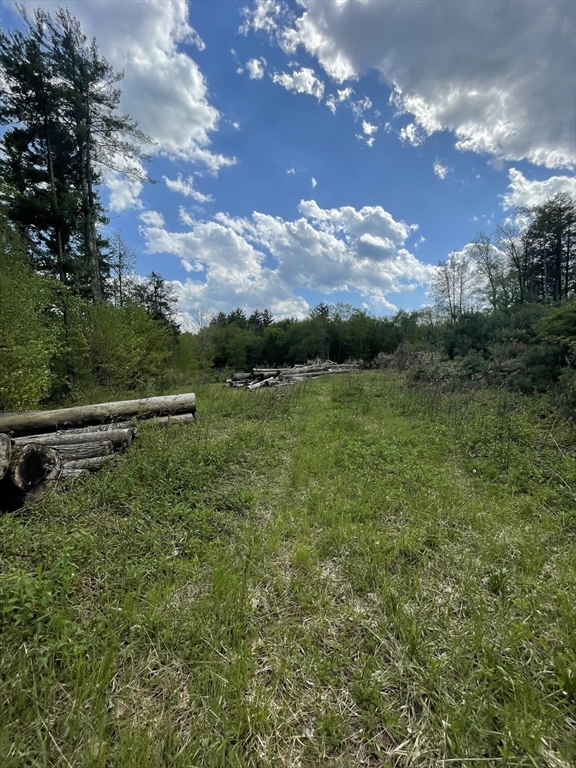 1282 Burt Hill Rd, Tolland, Massachusetts, ,Land,For Sale,Burt Hill Rd,73531202
