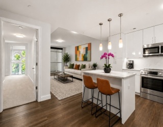 771 Harrison Ave., Boston, Massachusetts, 3 Bedrooms Bedrooms, 5 Rooms Rooms,2.5 BathroomsBathrooms,Residential,For Sale,Harrison Ave.,73531873