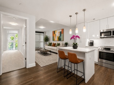 771 Harrison Ave., Boston, Massachusetts, 3 Bedrooms Bedrooms, 5 Rooms Rooms,2.5 BathroomsBathrooms,Residential,For Sale,Harrison Ave.,73531873