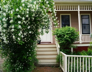 10 Mountain Ave, Somerville, Massachusetts, 3 Bedrooms Bedrooms, 6 Rooms Rooms,1.5 BathroomsBathrooms,Residential,For Sale,Mountain Ave,73532198