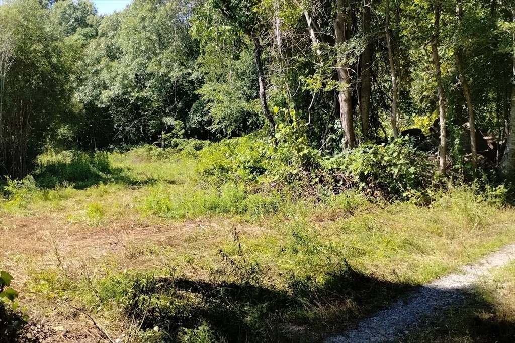 218 American Legion Hwy, Westport, Massachusetts, ,Land,For Sale,American Legion Hwy,73532400