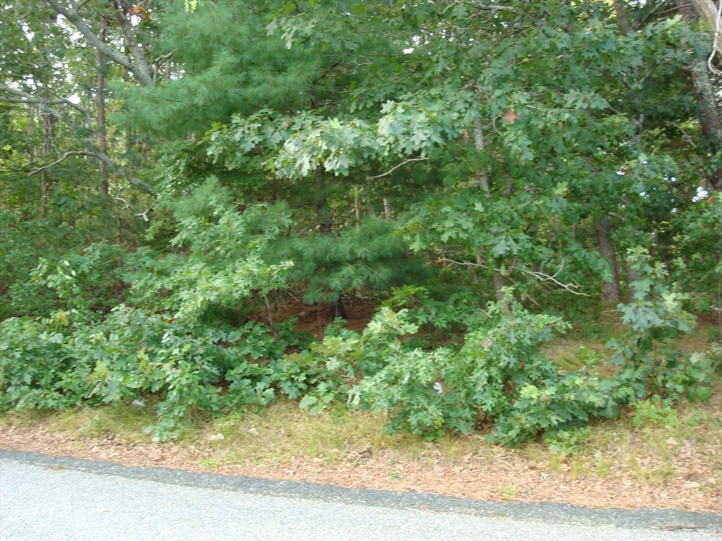 15 Signal Hill Dr, Dennis, Massachusetts, ,Land,For Sale,Signal Hill Dr,73437328
