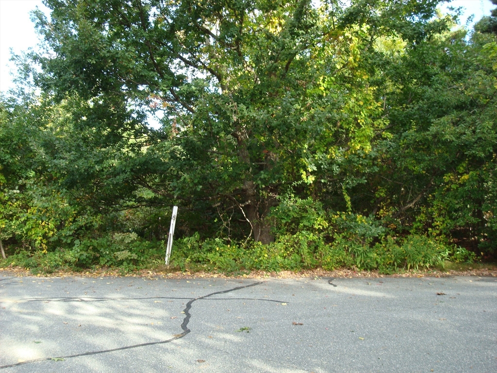 6 Thomas Ct., Dennis, Massachusetts, ,Land,For Sale,Thomas Ct.,73437312