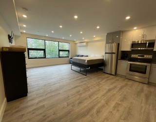 1028 Commonwealth Ave, Boston, Massachusetts, 1 Room Rooms,1 BathroomBathrooms,Residential Lease,For Rent,Commonwealth Ave,73532633