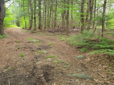 0 Stockwell Road, Royalston, Massachusetts, ,Land,For Sale,Stockwell Road,73533091 0 Stockwell Road, Royalston, Massachusetts, ,Land,For Sale,Stockwell Road,73533091