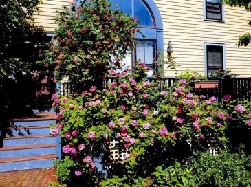 71 Abbottsford, Brookline, Massachusetts, 4 Bedrooms Bedrooms, 10 Rooms Rooms,4 BathroomsBathrooms,Residential Lease,For Rent,Abbottsford,73533453 71 Abbottsford, Brookline, Massachusetts, 4 Bedrooms Bedrooms, 10 Rooms Rooms,4 BathroomsBathrooms,Residential Lease,For Rent,Abbottsford,73533453
