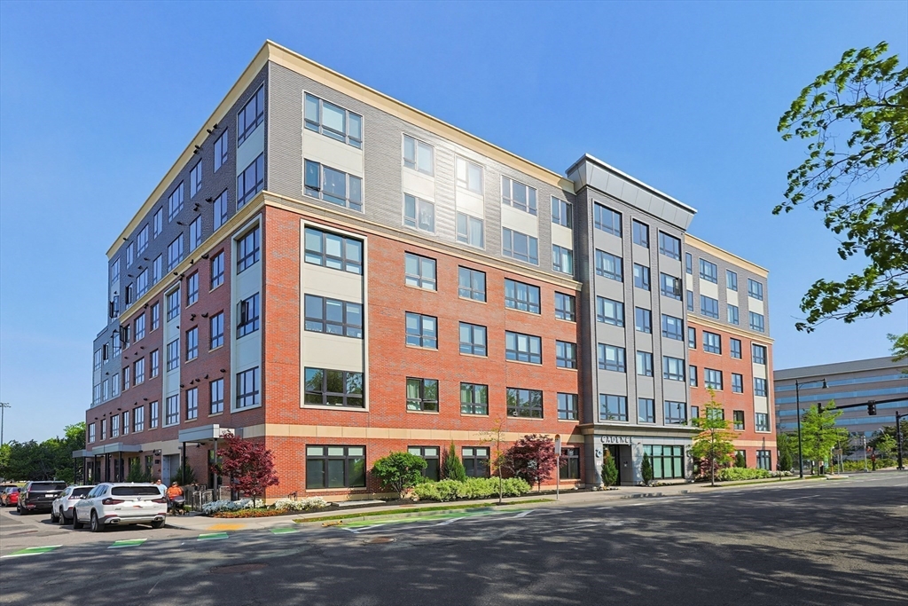 70 Leo Birmingham Parkway, Boston, Massachusetts, 1 Bedroom Bedrooms, 3 Rooms Rooms,1 BathroomBathrooms,Residential Lease,For Rent,Leo Birmingham Parkway,73534331