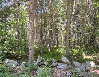 19 Whitney, Berlin, Massachusetts, 4 Rooms Rooms,0.5 BathroomBathrooms,Residential,For Sale,Whitney,73534384