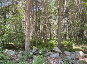 19 Whitney, Berlin, Massachusetts, 4 Rooms Rooms,0.5 BathroomBathrooms,Residential,For Sale,Whitney,73534384 19 Whitney, Berlin, Massachusetts, 4 Rooms Rooms,0.5 BathroomBathrooms,Residential,For Sale,Whitney,73534384