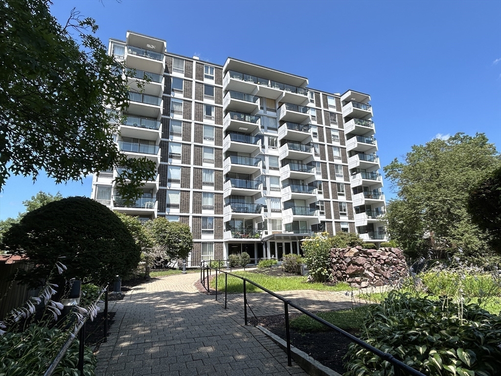 60 Babcock St, Brookline, Massachusetts, 1 Bedroom Bedrooms, 3 Rooms Rooms,1 BathroomBathrooms,Residential Lease,For Rent,Babcock St,73534843