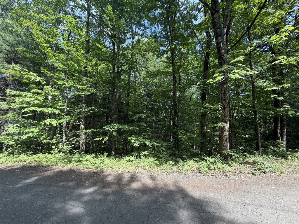30 W Brook Dr, Heath, Massachusetts, ,Land,For Sale,W Brook Dr,73534934