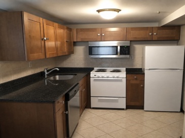 50 Waltham St, Boston, Massachusetts, 1 Bedroom Bedrooms, 3 Rooms Rooms,1 BathroomBathrooms,Residential Lease,For Rent,Waltham St,73535584