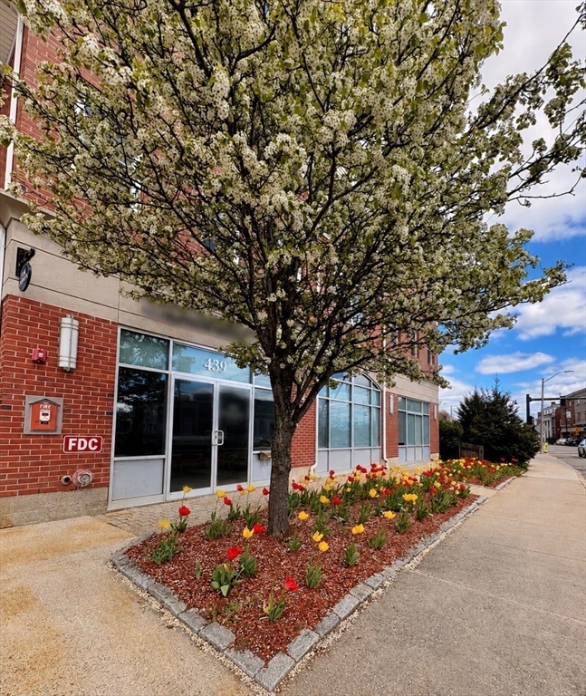 441 Washington St, Dedham, Massachusetts, 1 Bedroom Bedrooms, 3 Rooms Rooms,1 BathroomBathrooms,Residential,For Sale,Washington St,73535669