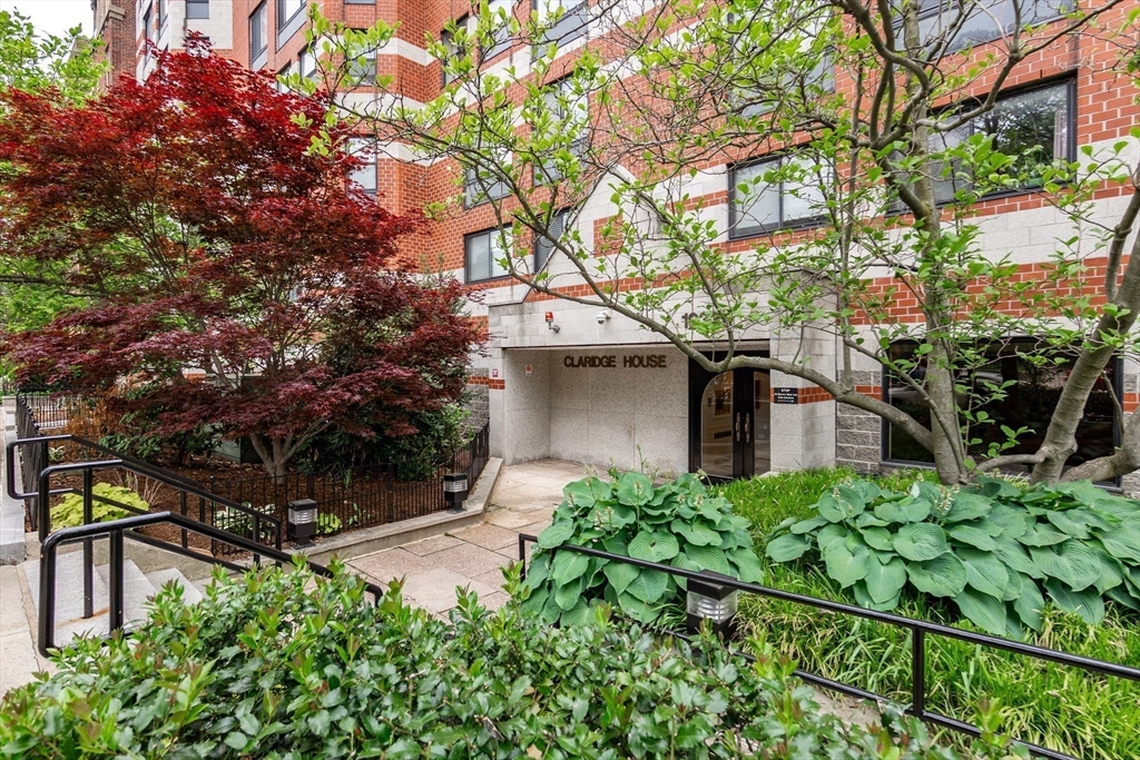 1933 Commonwealth Avenue, Boston, Massachusetts, 1 Bedroom Bedrooms, 4 Rooms Rooms,1 BathroomBathrooms,Residential Lease,For Rent,Commonwealth Avenue,73509774