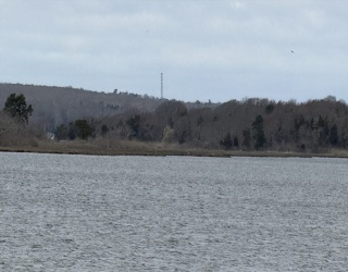 Land