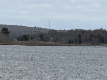 0 Island, Westport, Massachusetts, ,Land,For Sale,Island,73536183