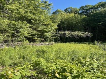 Lot D-2 Jason's Way, Belchertown, Massachusetts, ,Land,For Sale,Jason's Way,73537358