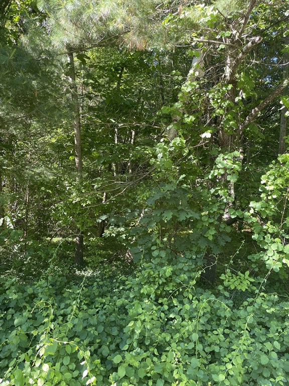 Lot A Ware Rd, Belchertown, Massachusetts, ,Land,For Sale,Ware Rd,73537356