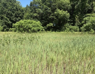 0 Straits Road, Hatfield, Massachusetts, ,Land,For Sale,Straits Road,73537063