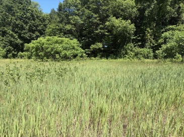 0 Straits Road, Hatfield, Massachusetts, ,Land,For Sale,Straits Road,73537063 0 Straits Road, Hatfield, Massachusetts, ,Land,For Sale,Straits Road,73537063