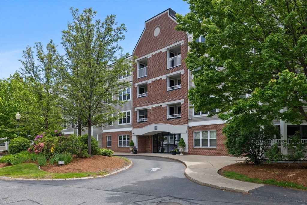 318 Rindge Ave, Cambridge, Massachusetts, 2 Bedrooms Bedrooms, 5 Rooms Rooms,2 BathroomsBathrooms,Residential Lease,For Rent,Rindge Ave,73537159