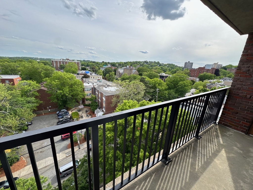 49 Marion St, Brookline, Massachusetts, 1 Bedroom Bedrooms, 3 Rooms Rooms,1 BathroomBathrooms,Residential Lease,For Rent,Marion St,73528667