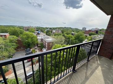 49 Marion St, Brookline, Massachusetts, 1 Bedroom Bedrooms, 3 Rooms Rooms,1 BathroomBathrooms,Residential Lease,For Rent,Marion St,73528667
