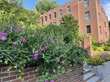 311 Tappan Street, Brookline, Massachusetts, 2 Bedrooms Bedrooms, 5 Rooms Rooms,2 BathroomsBathrooms,Residential Lease,For Rent,Tappan Street,73503312