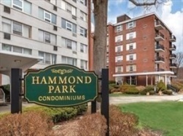 20 Hammond, Newton, Massachusetts, 1 Bedroom Bedrooms, 4 Rooms Rooms,1 BathroomBathrooms,Residential,For Sale,Hammond,73538790 20 Hammond, Newton, Massachusetts, 1 Bedroom Bedrooms, 4 Rooms Rooms,1 BathroomBathrooms,Residential,For Sale,Hammond,73538790