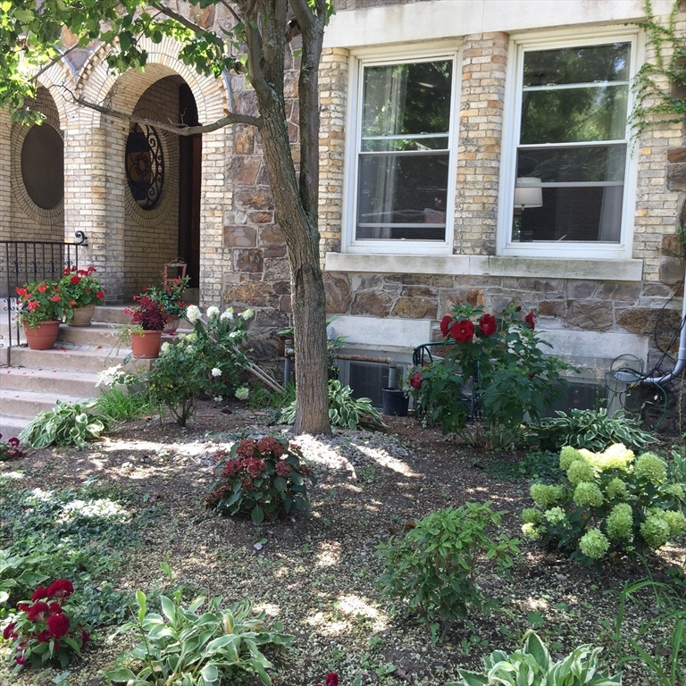 318 Tappan Street, Brookline, Massachusetts, 3 Bedrooms Bedrooms, 6 Rooms Rooms,2 BathroomsBathrooms,Residential Lease,For Rent,Tappan Street,73538450