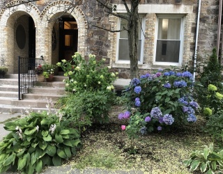 318 Tappan, Brookline, Massachusetts, 2 Bedrooms Bedrooms, 4 Rooms Rooms,1 BathroomBathrooms,Residential Lease,For Rent,Tappan,73538991