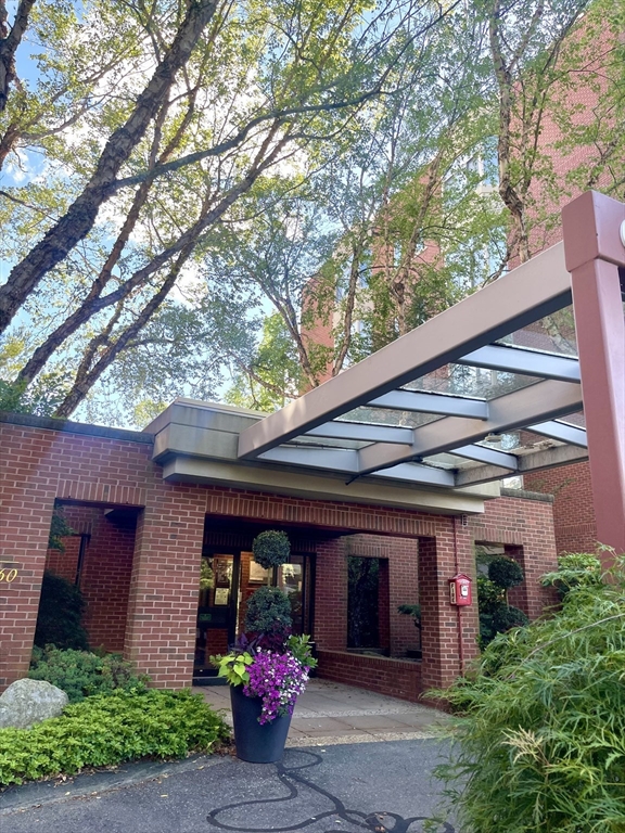 99 Florence St, Newton, Massachusetts, 3 Bedrooms Bedrooms, 6 Rooms Rooms,2 BathroomsBathrooms,Residential Lease,For Rent,Florence St,73539146
