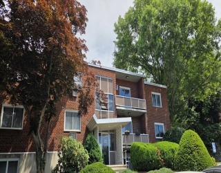 22 Jacqueline Rd, Waltham, Massachusetts, 2 Bedrooms Bedrooms, 4 Rooms Rooms,1 BathroomBathrooms,Residential,For Sale,Jacqueline Rd,73539190