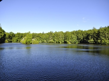 0 West St., East Bridgewater, Massachusetts, ,Land,For Sale,West St.,73539270 0 West St., East Bridgewater, Massachusetts, ,Land,For Sale,West St.,73539270