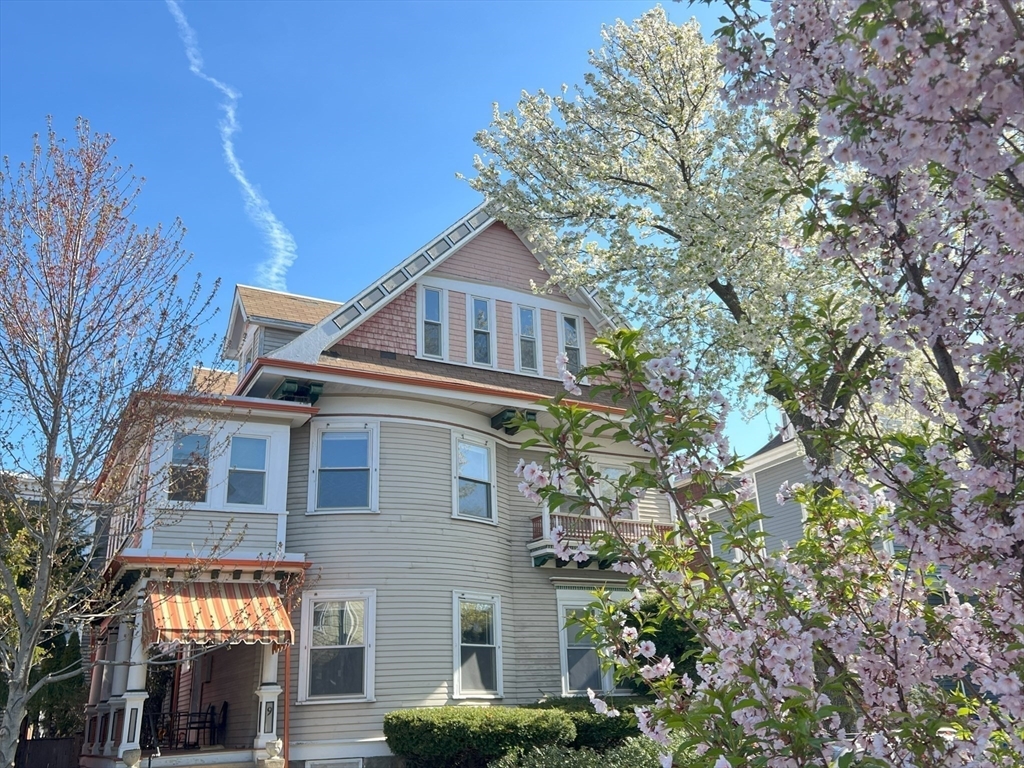 9 Willis St, Boston, Massachusetts, 1 Bedroom Bedrooms, 5 Rooms Rooms,1 BathroomBathrooms,Residential Lease,For Rent,Willis St,73539289