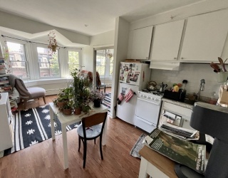107 Chandler, Boston, Massachusetts, 1 Bedroom Bedrooms, 2 Rooms Rooms,1 BathroomBathrooms,Residential Lease,For Rent,Chandler,73539356