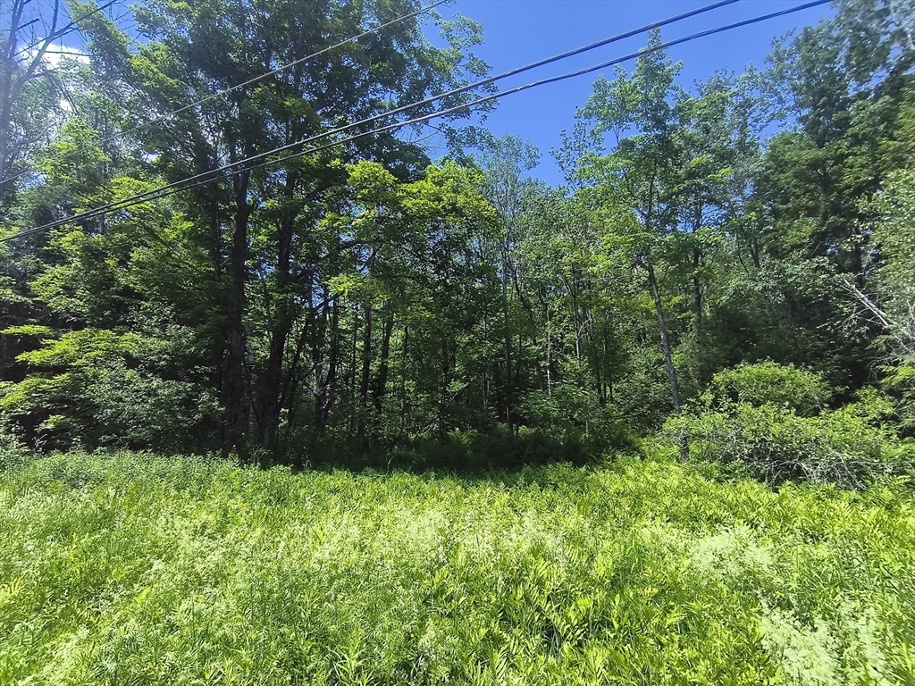 0 Brown Hill Road, Worthington, Massachusetts, ,Land,For Sale,Brown Hill Road,73539360