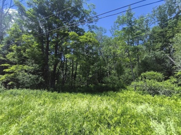0 Brown Hill Road, Worthington, Massachusetts, ,Land,For Sale,Brown Hill Road,73539360