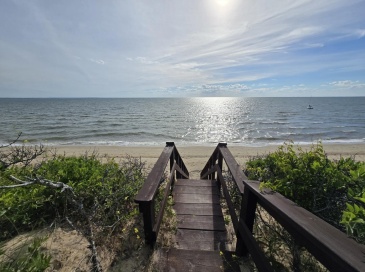 60 Billingsgate Avenue, Eastham, Massachusetts, 3 Bedrooms Bedrooms, 5 Rooms Rooms,1 BathroomBathrooms,Residential,For Sale,Billingsgate Avenue,73539686 60 Billingsgate Avenue, Eastham, Massachusetts, 3 Bedrooms Bedrooms, 5 Rooms Rooms,1 BathroomBathrooms,Residential,For Sale,Billingsgate Avenue,73539686