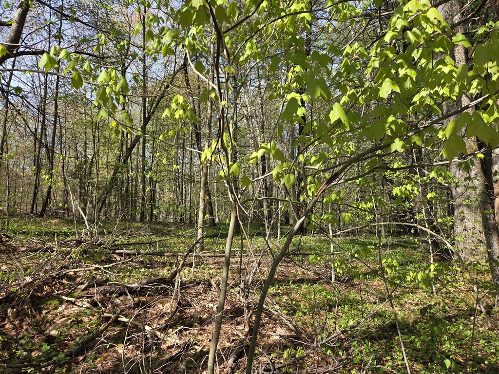 Lot 12W Chicopee Drive, Hubbardston, Massachusetts, ,Land,For Sale,Chicopee Drive,73521677