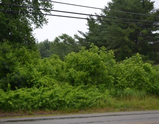 32 Quaboag St, Brookfield, Massachusetts, ,Land,For Sale,Quaboag St,73540493