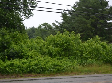 32 Quaboag St, Brookfield, Massachusetts, ,Land,For Sale,Quaboag St,73540493 32 Quaboag St, Brookfield, Massachusetts, ,Land,For Sale,Quaboag St,73540493