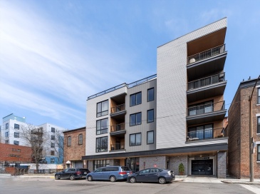277 Border, Boston, Massachusetts, 1 Bedroom Bedrooms, 4 Rooms Rooms,1 BathroomBathrooms,Residential Lease,For Rent,Border,73540591