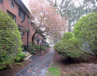 Residential Lease