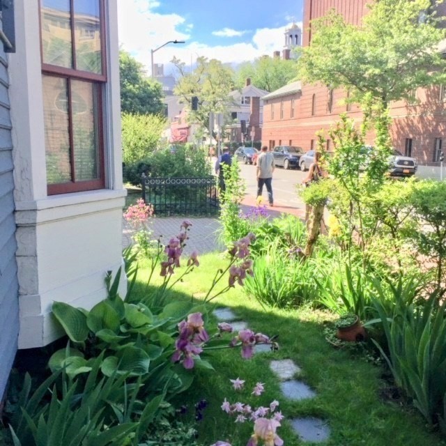 26 Mt. Auburn St., Cambridge, Massachusetts, 1 Bedroom Bedrooms, 2 Rooms Rooms,1 BathroomBathrooms,Residential Lease,For Rent,Mt. Auburn St.,73541429