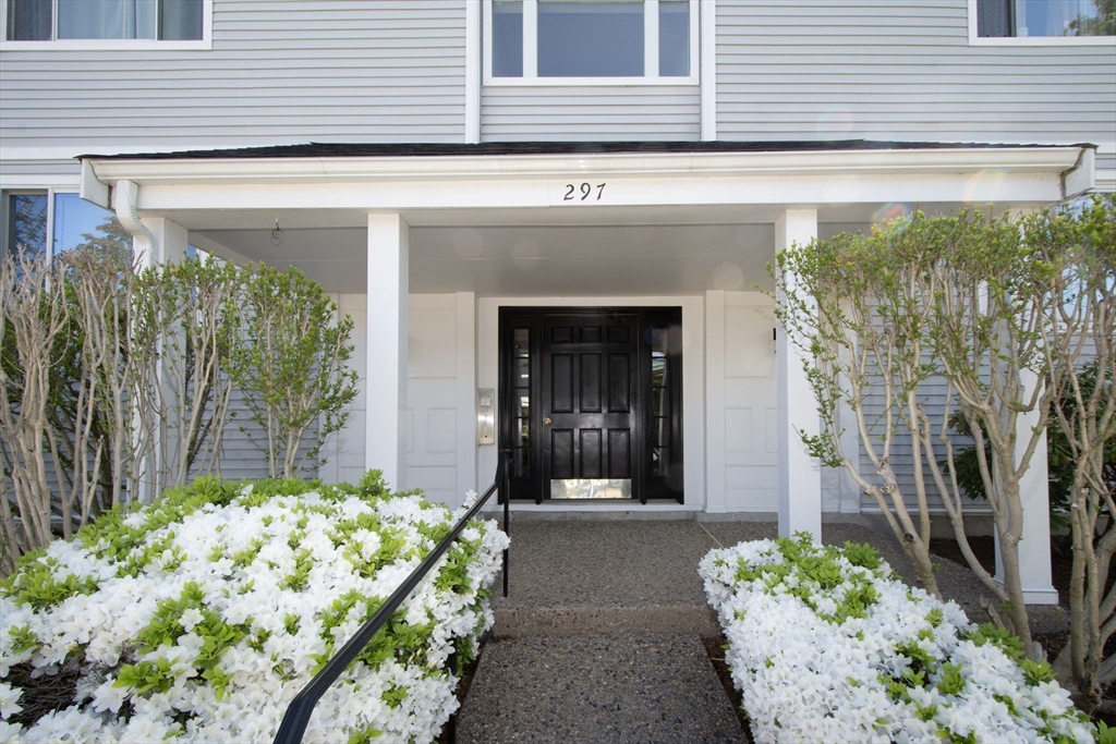 297 Temple Street, Boston, Massachusetts, 2 Bedrooms Bedrooms, 5 Rooms Rooms,1 BathroomBathrooms,Residential,For Sale,Temple Street,73541433