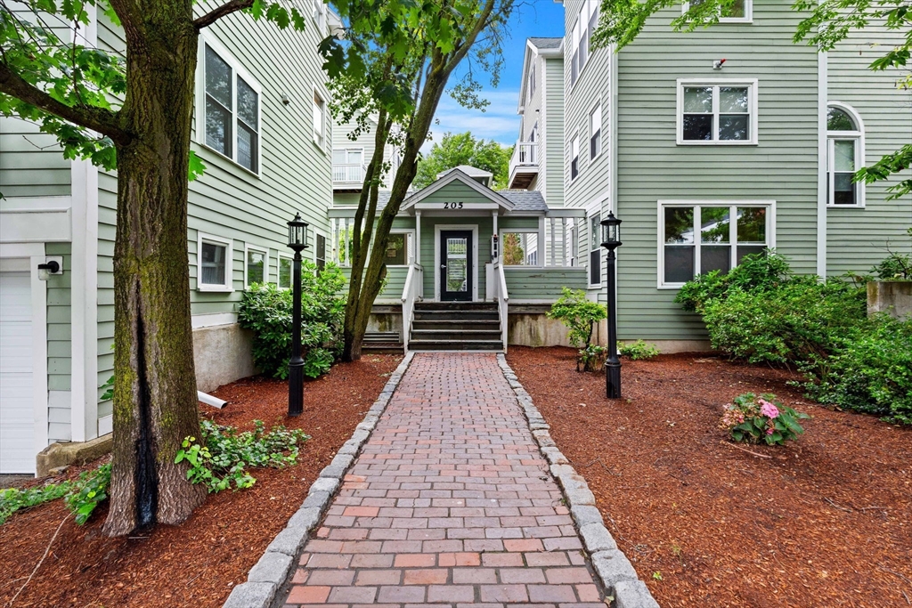 205 Richdale Ave, Cambridge, Massachusetts, 2 Bedrooms Bedrooms, 4 Rooms Rooms,1.5 BathroomsBathrooms,Residential,For Sale,Richdale Ave,73541543