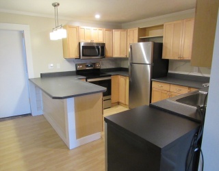 Residential Lease