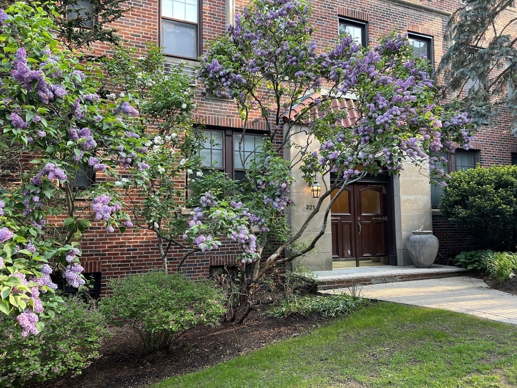 321 Tappan St, Brookline, Massachusetts, 2 Bedrooms Bedrooms, 5 Rooms Rooms,2 BathroomsBathrooms,Residential,For Sale,Tappan St,73501358